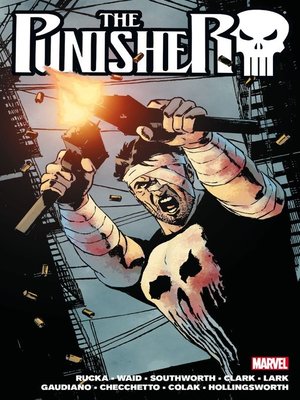 cover image of The Punisher By Greg Rucka, Volume 2